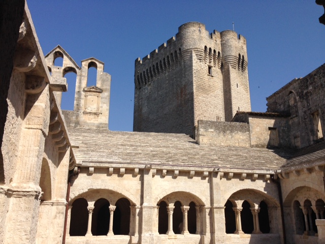 Mid-11th century abbey outside Arles, Montmajour Abbey, is a gorgeous ruin beautifully maintained. It was the setting for the film "The Lion in Winter." Spent a spell-binding hour wandering its ancient and cavernous halls.